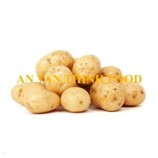 KHOAI TÂY ĐÔNG LẠNH , IQF POTATO IQF, FROZEN POTATO FROZEN TO EXPORT FROM AN VAN THINH FOOD COMPANY (AVTF / AVTFOOD)