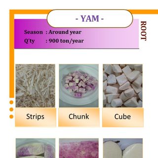 KHOAI MỠ ĐÔNG LẠNH , KHOAI MỠ TRẮNG ĐÔNG LẠNH , IQF WHITE YAM IQF, FROZEN WHITE YAM FROZEN TO EXPORT FROM AN VAN THINH FOOD COMPANY (AVTF / AVTFOOD)