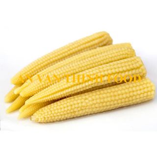 BẮP NON ĐÔNG LẠNH / IQF BABY CORN IQF, FROZEN BABY CORN FROZEN TO EXPORT FROM AN VAN THINH FOOD COMPANY (AVTF / AVTFOOD)