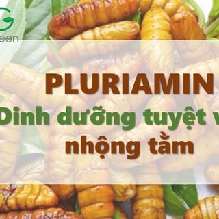 Bán nguyên liệu Pluriamin - Acid amin chiết xuất từ nhộng tằm chất lượng cao giá sỉ