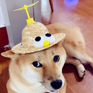 Mũ Rơm Nón Cói Rộng Vành Chó Mèo Đáng Yêu