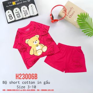 Bộ bé gái cotton, quần short, in gấu tràn thân, size 3-10 giá sỉ