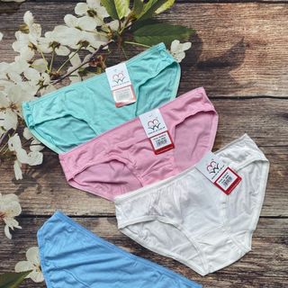 Quần lót nữ cotton trơn VIỆT NAM