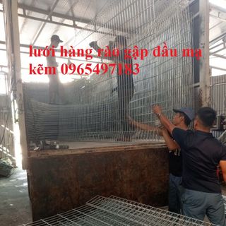 Hàng rào lưới thép mạ kẽm , hàng rào lưới thép mạ kẽm nhúng nóng, hàng rào gập đầu mạ kẽm, hàng rào chấn sóng mạ kẽm
