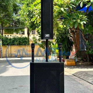 Loa Kéo Karaoke LW1565 - Công Suất 500W -Kèm 2 Micro Bluetooth -Bass 40cm Siêu Trầm- Hỗ Trợ Bluetooth, USB, Thẻ Nhớ.