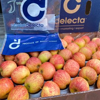 TÁO FUJI NAM PHI SIZE 198