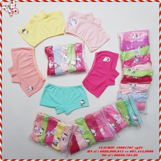 SỈ VKIDS Quần chíp đùi cotton, bé gái, in kitty, trộn màu, nhiều size, ri5 - Z4CHIP_10081707_sg2 giá sỉ