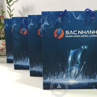 Túi Xách Giấy – In Logo Doanh Nghiệp