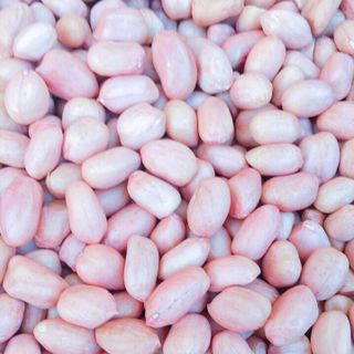 Lạc Nhân Nông Việt