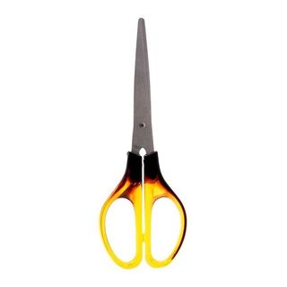 Kéo đồi mồi lớn 109