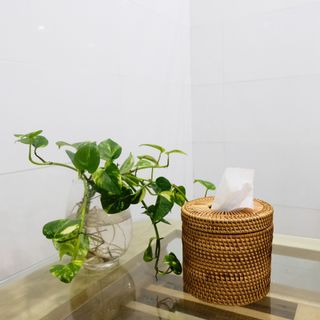 HỘP GIẤY ĂN TRÒN