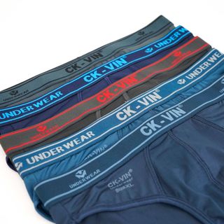 SET 5 QUẦN LÓT TAM GIÁC THIẾT KẾ CAO CẤP QL045 - THỜI TRANG HC