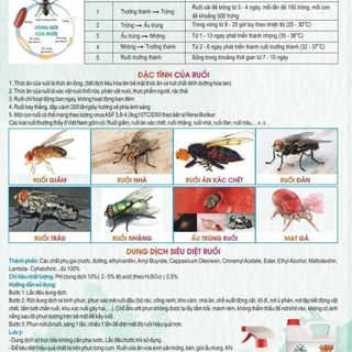 DUNG DỊCH SIÊU DIỆT RUỒI CAN 5L