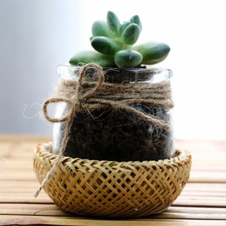 BÁT TRE NHỎ
