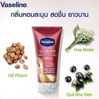 Vaseline 70x đỏ Chính hãng Thái Lan giá sỉ