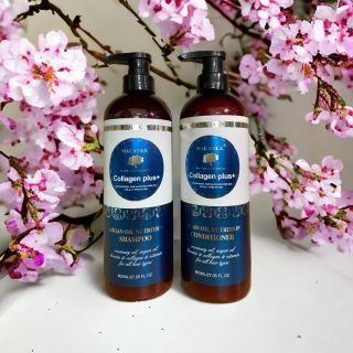 Macasilk combo dầu gội và dầu xả collagen plus+ chính hãng giá sỉ