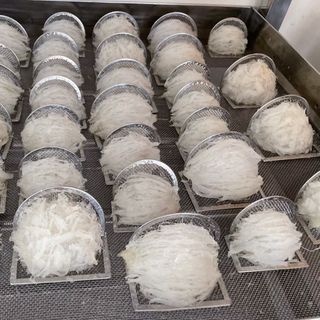 Tổ yến sợi tinh chế nguyên chất 50gram - giá sỉ