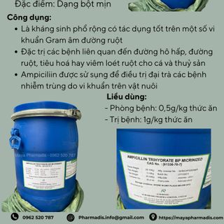 Ampicinlin Ấn Độ 98% giá sỉ