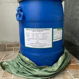 Ampicinlin Ấn Độ