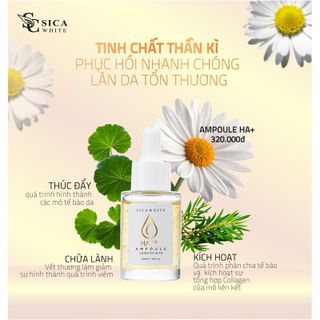 Serum Sica White Ampoule HA Plus Tinh chất dưỡng ấm căng bóng da giá sỉ