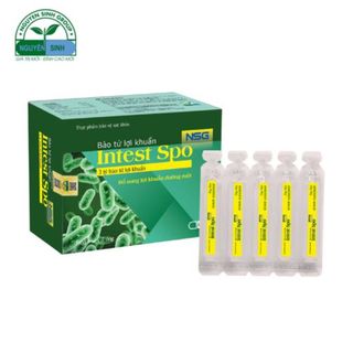 Thực phẩm bảo vệ sức khoẻ - Bào tử lợi khuẩn Intest Spo NSG 4,9