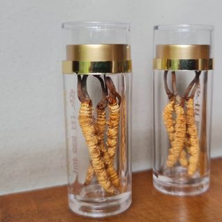 Đông trùng Hạ thảo Tây Tạng khô nguyên con size 4 con/gr loại hộp 2gr - Tổng 8 con