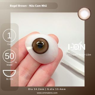 Bagel Brown - Lens 1 ngày - Kính Áp Tròng 1 ngày