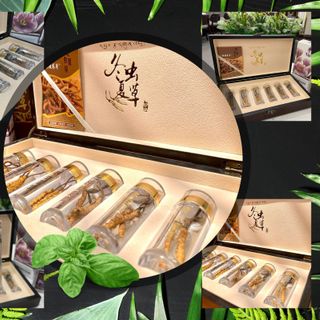 Đông trùng Hạ thảo Tây Tạng khô nguyên con size 5 con/gr loại hộp 5gr - Tổng 25 con