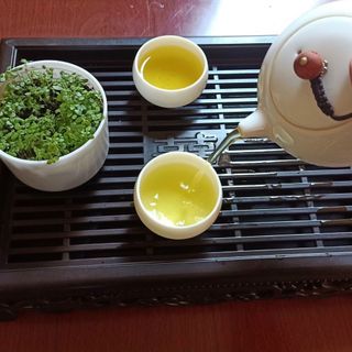 chè búp tân cương thái nguyên