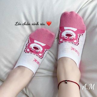 Sét 5 đôi tất gấu cổ ngắn