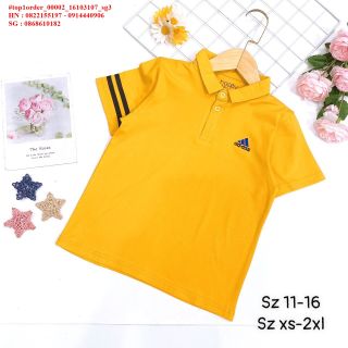 💖Hàng sỉ HN💖 Áo bé trai, cổ bẻ thể thao, size 5-2xl, top1order_00002_16103107_sg3 giá sỉ