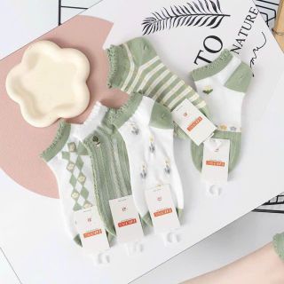 Tất nữ hình trái bơ ( set 10 đôi )
