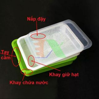 Khay trồng rau mầm