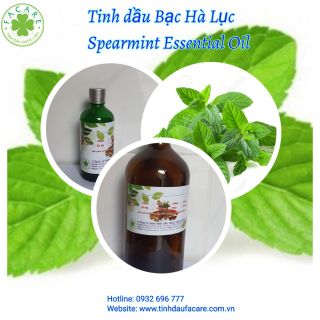 Tinh dầu Bạc Hà Lục Spearmint essential oil giúp thanh lọc không khí - 10ml giá sỉ