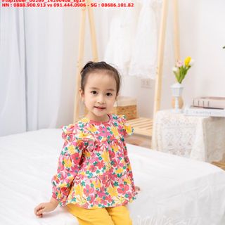 ☘️Hàng sỉ HN☘️ Set bộ bé gái, áo bèo xoè, chất thô cotton quần vải cara mềm, size 1t-10t, top1oder_00269_14290408_sg1 giá sỉ