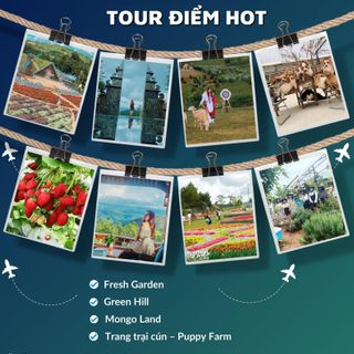 𝟐𝟏 𝗧𝗢𝗨𝗥 ĐÀ LẠT 1 NGÀY- TOUR ĐÀ LẠT 2 NGÀY 1 ĐÊM