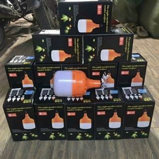 BÓNG ĐÈN LED TÍCH ĐIỆN 100W