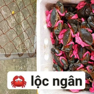 CUA THỊT LOẠI XUẤT GIÁ RẺ
