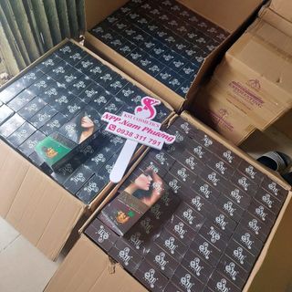 Dầu gội phủ bạc sin hair
