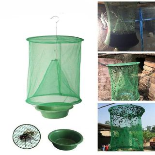 BẪY DIỆT RUỒI HIỆU QUẢ