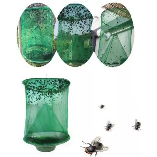 BẪY DIỆT RUỒI HIỆU QUẢ