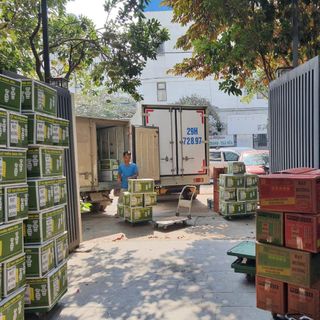 Sỉ 1 thùng 160 gói hướng dương Minh Văn nguyên vị 50gram ( 160 gói/ thùng)