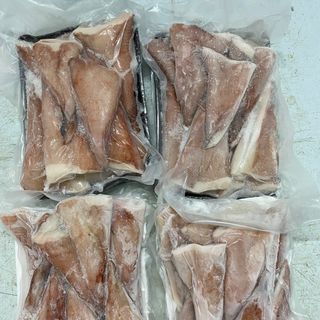 ĐUÔI MỰC