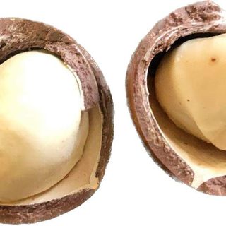 Macca sạch loại 1 nhà trồng