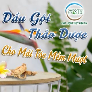 Bộ Dầu Gội - Dầu Xả Thảo Dược Sona 400ml Chiết xuất từ các loại thảo dược Nhân Sâm, Bồ Kết, Anh Đào