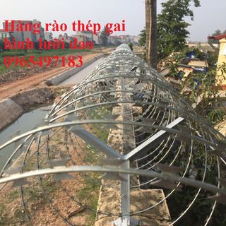 Dây Thép Gai Hình Dao, Dây Gai Tôn Đường Kính 80Cm