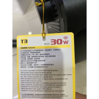 W-King T3 – Loa Karaoke xách tay, công suất 30W, Kèm 1 micro không dây