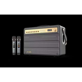 Loa Bluetooth Karaoke 2.1 W-King K6S  (100W, 2 Micro không dây).