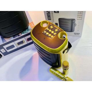 LOA BLUETOOTH KARAOKE SU-YOSD YS-217 (Kèm 2 Micro không dây)- BÁN CHẠY