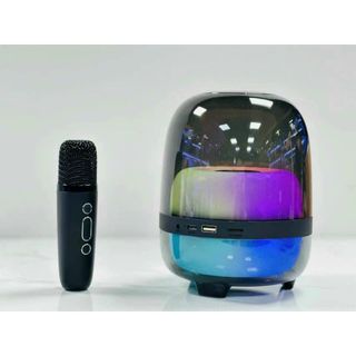 Loa Bluetooth Karaoke N29 (Kèm 1 Micro Không Dây)